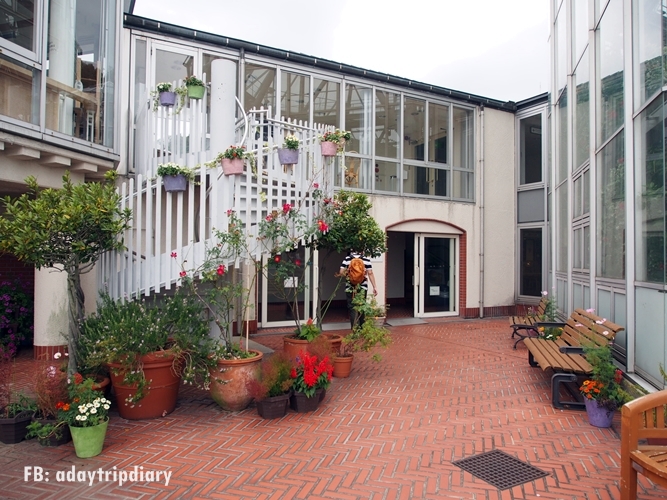 OLYMPUS DIGITAL CAMERA