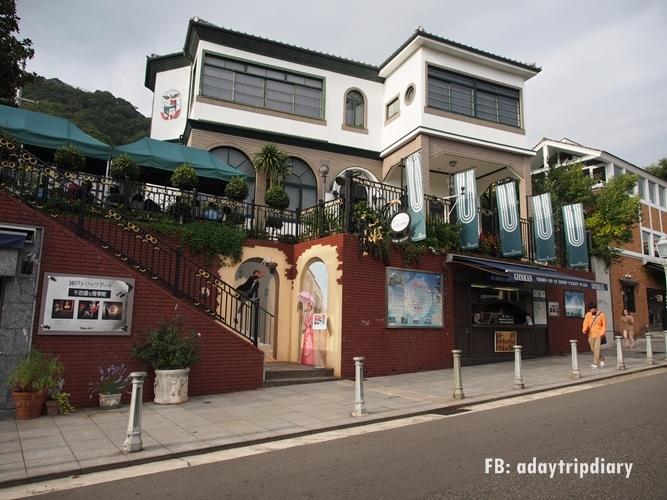 OLYMPUS DIGITAL CAMERA