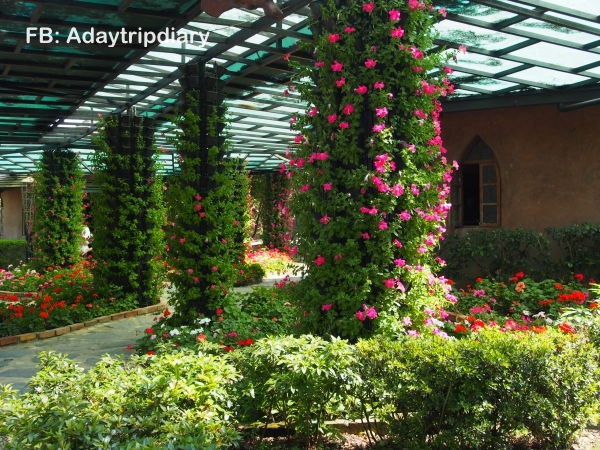 Summit Resort, Taichung