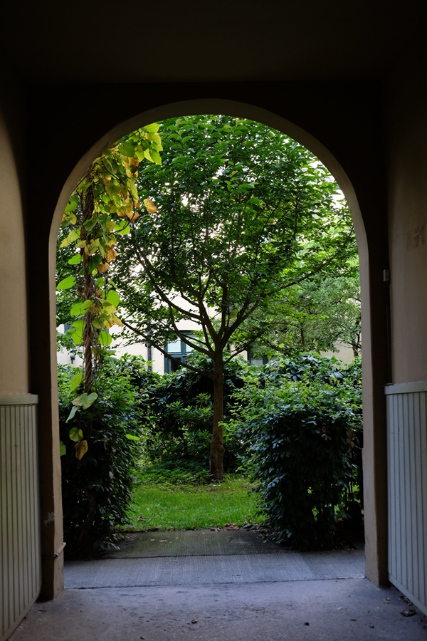 DSCF5861