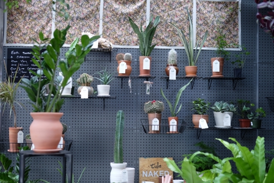 01_thumb_DSCF7303_1024