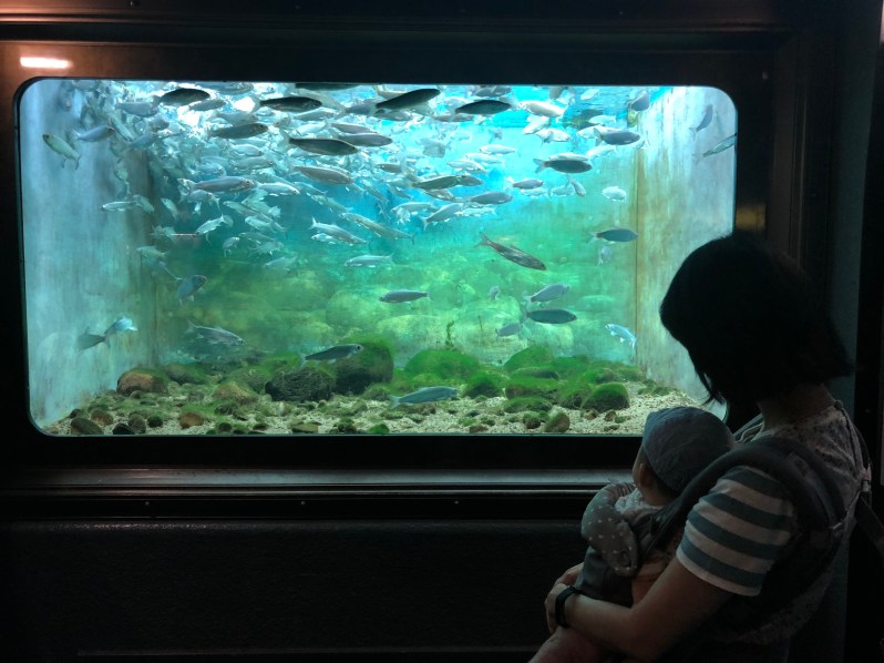 G0hatiKZRD2Hs8ReT9eAtw