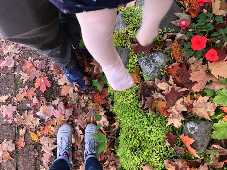 %qkcBG0cQ9SkKlp2m13d5A