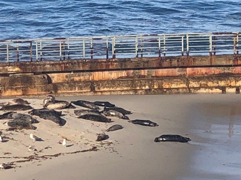 DLwNYCukR5WFWHWEdF3svA