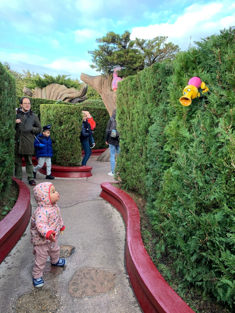 MIy8in5HQk6XA+S1cYaD7Q