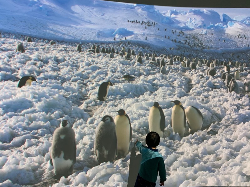 fsWbwthBRr+6KfYm1mS47Q