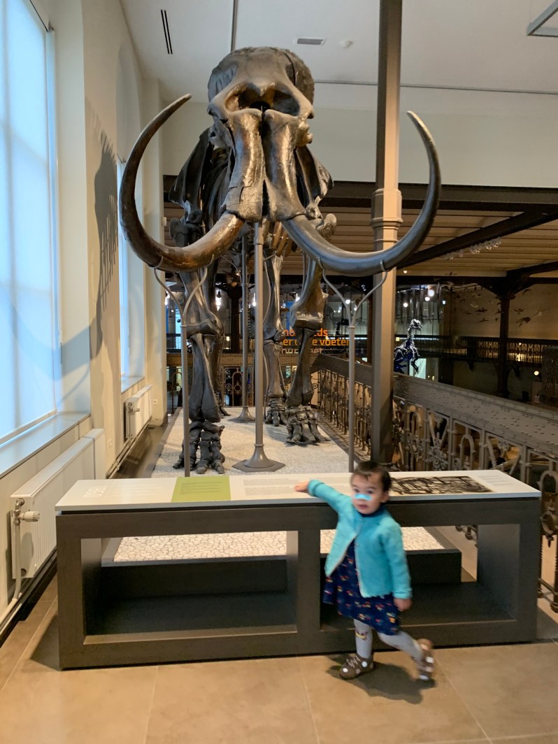 IAQK6xzpRRKmAja7mAKguQ