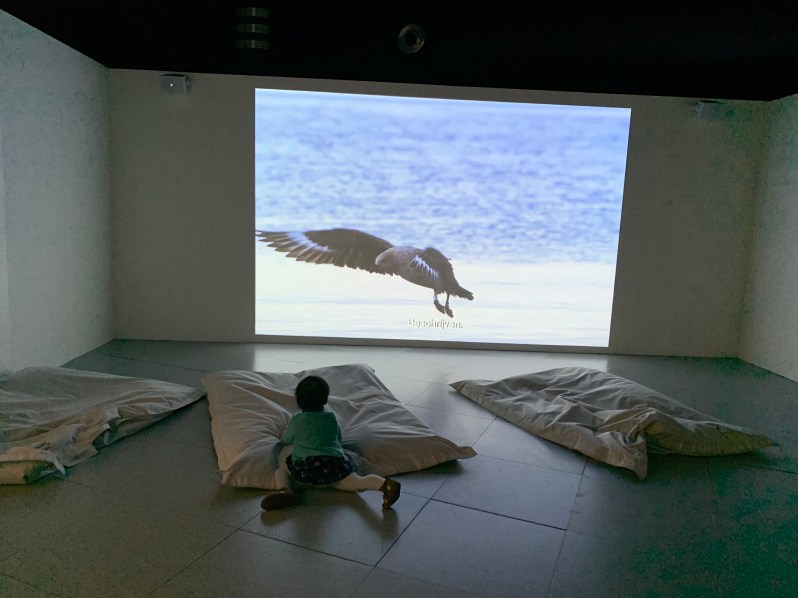 sS0XKN%pSuSyom47jMFbjg