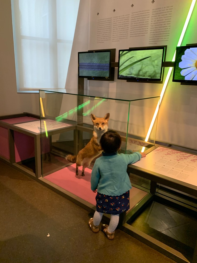 VioBeebbTLK0tc1%i5sr%g